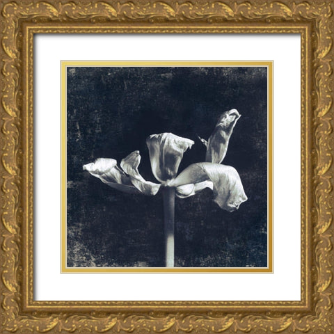 Aurora Blooms II Gold Ornate Wood Framed Art Print with Double Matting by Aryai, Sia