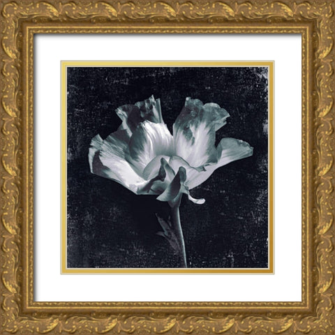 Aurora Blooms III Gold Ornate Wood Framed Art Print with Double Matting by Aryai, Sia