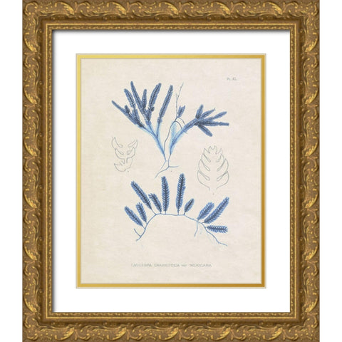 Blue Marine Algae I Gold Ornate Wood Framed Art Print with Double Matting by Vision Studio