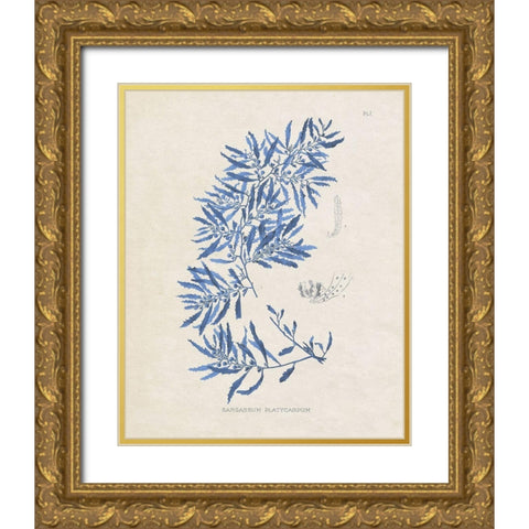 Blue Marine Algae III Gold Ornate Wood Framed Art Print with Double Matting by Vision Studio