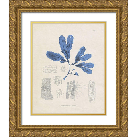 Blue Marine Algae VII Gold Ornate Wood Framed Art Print with Double Matting by Vision Studio