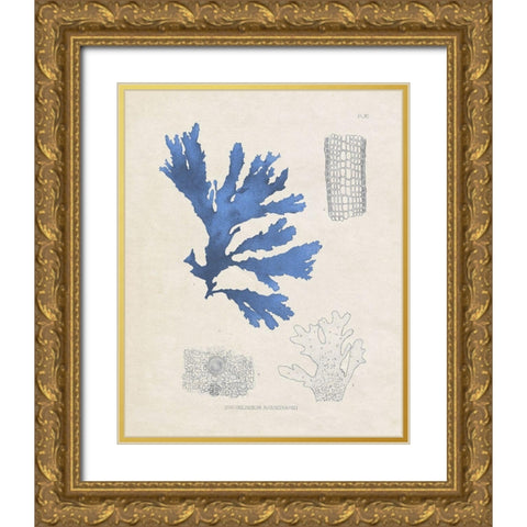 Blue Marine Algae VIII Gold Ornate Wood Framed Art Print with Double Matting by Vision Studio
