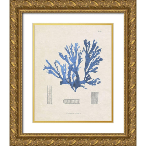 Blue Marine Algae IX Gold Ornate Wood Framed Art Print with Double Matting by Vision Studio