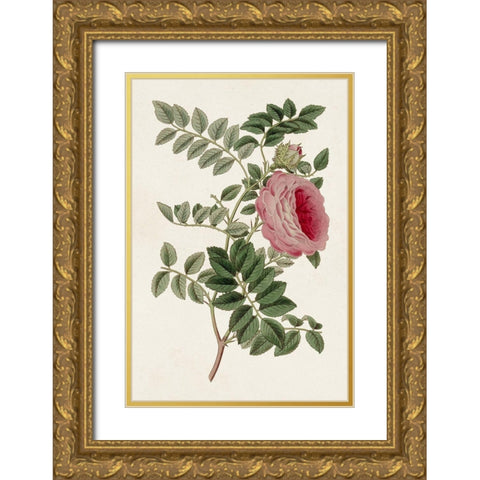 Pink Floral Mix I Gold Ornate Wood Framed Art Print with Double Matting by Ridgeway
