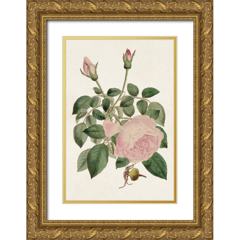 Pink Floral Mix II Gold Ornate Wood Framed Art Print with Double Matting by Ridgeway