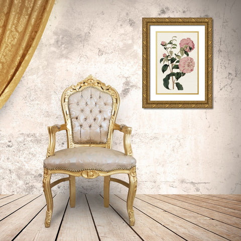 Pink Floral Mix IV Gold Ornate Wood Framed Art Print with Double Matting by Ridgeway