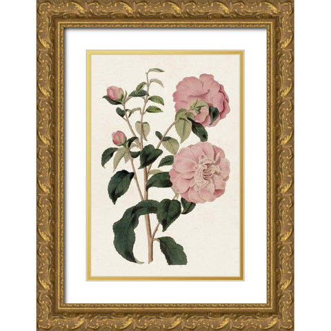 Pink Floral Mix IV Gold Ornate Wood Framed Art Print with Double Matting by Ridgeway