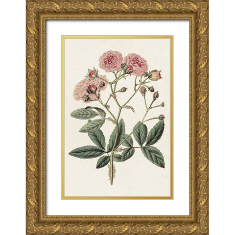 Pink Floral Mix V Gold Ornate Wood Framed Art Print with Double Matting by Ridgeway