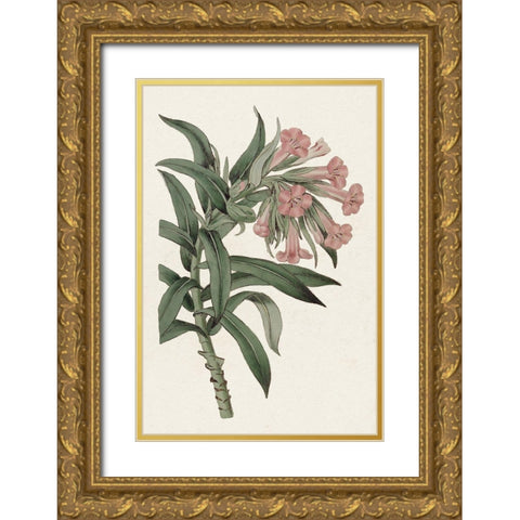Pink Floral Mix VI Gold Ornate Wood Framed Art Print with Double Matting by Ridgeway