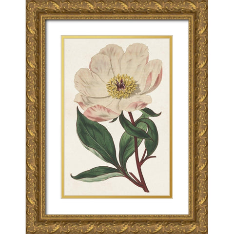 Pink Floral Mix VII Gold Ornate Wood Framed Art Print with Double Matting by Ridgeway