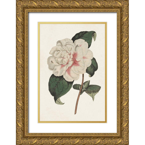 Pink Floral Mix VIII Gold Ornate Wood Framed Art Print with Double Matting by Ridgeway