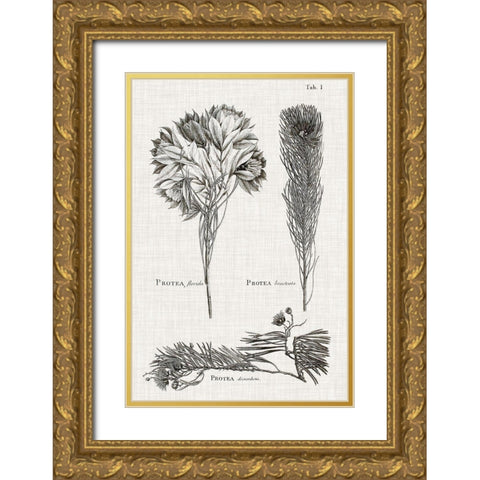 Black And White Protea on Linen I Gold Ornate Wood Framed Art Print with Double Matting by Vision Studio