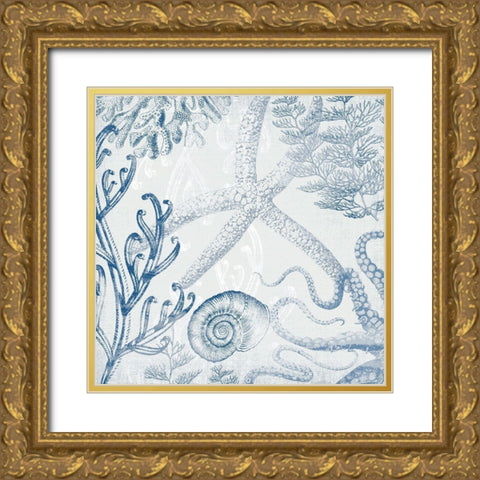 Seabed Scene IV Gold Ornate Wood Framed Art Print with Double Matting by Barnes, Victoria