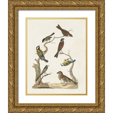 Antique Birds in Nature II Gold Ornate Wood Framed Art Print with Double Matting by Vision Studio