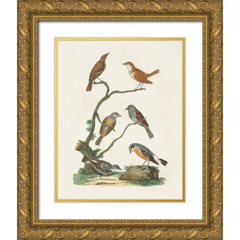 Antique Birds in Nature IV Gold Ornate Wood Framed Art Print with Double Matting by Vision Studio