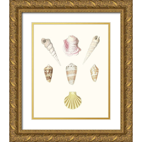 Pastel Knorr Shells I Gold Ornate Wood Framed Art Print with Double Matting by Knorr, G.W.