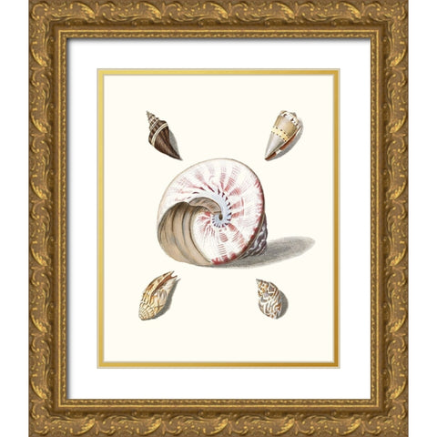 Pastel Knorr Shells II Gold Ornate Wood Framed Art Print with Double Matting by Knorr, G.W.