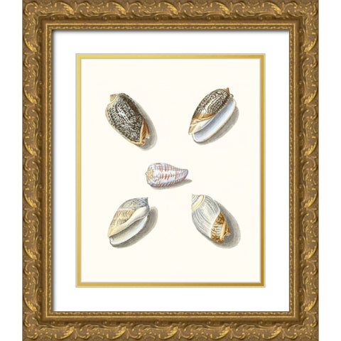 Pastel Knorr Shells III Gold Ornate Wood Framed Art Print with Double Matting by Knorr, G.W.