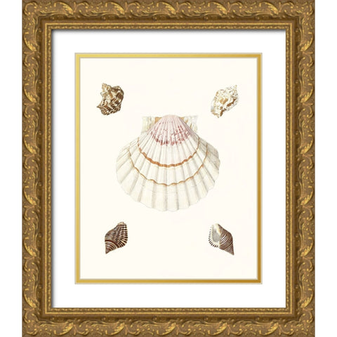 Pastel Knorr Shells IV Gold Ornate Wood Framed Art Print with Double Matting by Knorr, G.W.