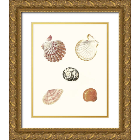 Pastel Knorr Shells VIII Gold Ornate Wood Framed Art Print with Double Matting by Knorr, G.W.