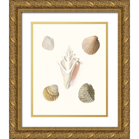 Pastel Knorr Shells IX Gold Ornate Wood Framed Art Print with Double Matting by Knorr, G.W.