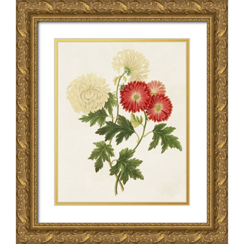 Flowers of the Seasons I Gold Ornate Wood Framed Art Print with Double Matting by Unknown