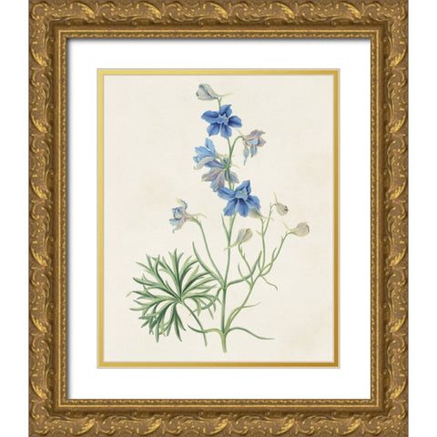 Flowers of the Seasons II Gold Ornate Wood Framed Art Print with Double Matting by Unknown