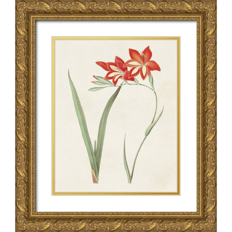 Flowers of the Seasons IV Gold Ornate Wood Framed Art Print with Double Matting by Unknown