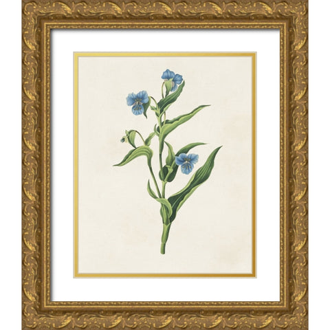 Flowers of the Seasons V Gold Ornate Wood Framed Art Print with Double Matting by Unknown