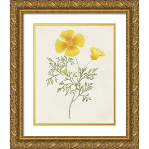 Flowers of the Seasons IX Gold Ornate Wood Framed Art Print with Double Matting by Unknown