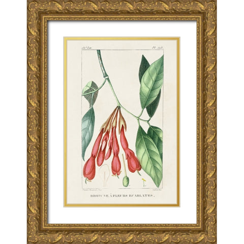 Turpin Tropical Botanicals I Gold Ornate Wood Framed Art Print with Double Matting by Turpin