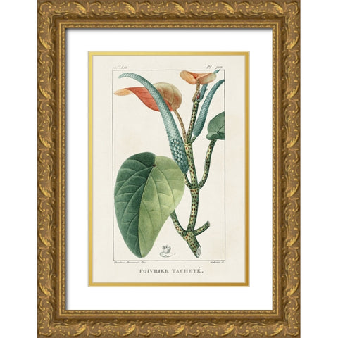 Turpin Tropical Botanicals II Gold Ornate Wood Framed Art Print with Double Matting by Turpin