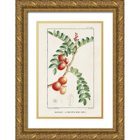 Turpin Tropical Botanicals III Gold Ornate Wood Framed Art Print with Double Matting by Turpin