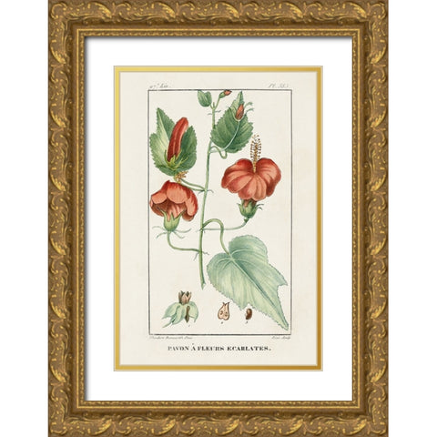 Turpin Tropical Botanicals IV Gold Ornate Wood Framed Art Print with Double Matting by Turpin