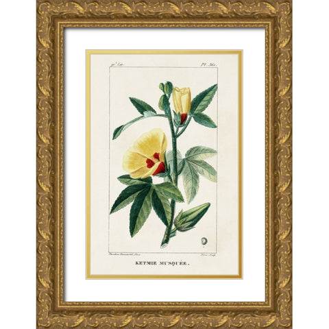 Turpin Tropical Botanicals VI Gold Ornate Wood Framed Art Print with Double Matting by Turpin