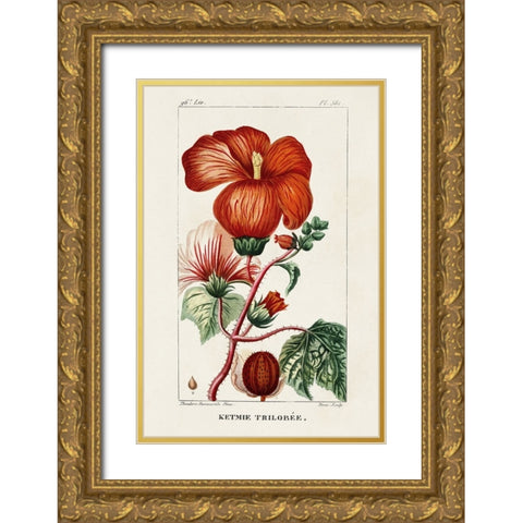 Turpin Tropical Botanicals VII Gold Ornate Wood Framed Art Print with Double Matting by Turpin