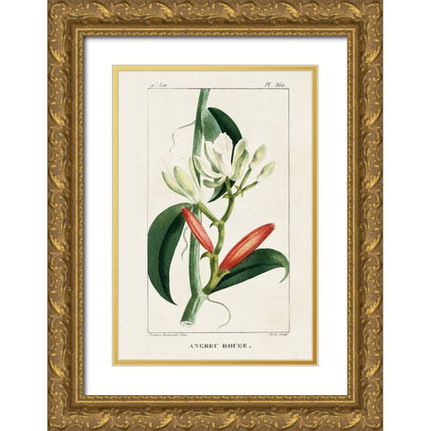 Turpin Tropical Botanicals IX Gold Ornate Wood Framed Art Print with Double Matting by Turpin
