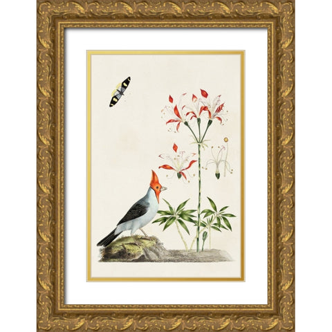 Bird in Habitat I Gold Ornate Wood Framed Art Print with Double Matting by Unknown