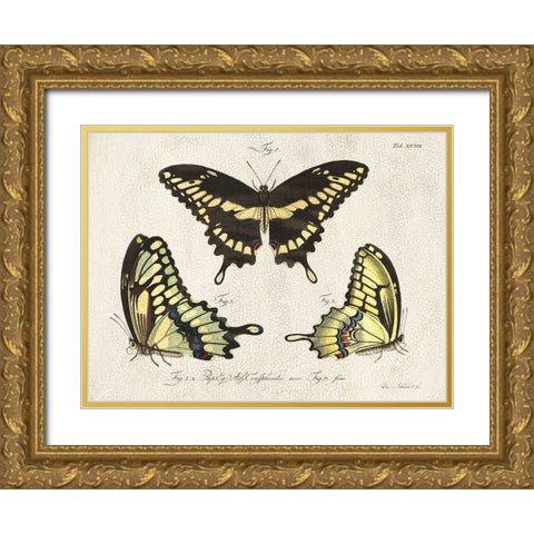 Crackled Butterflies I Gold Ornate Wood Framed Art Print with Double Matting by Vision Studio