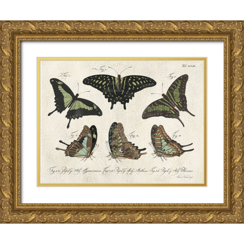 Crackled Butterflies II Gold Ornate Wood Framed Art Print with Double Matting by Vision Studio