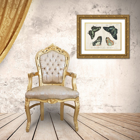 Crackled Butterflies III Gold Ornate Wood Framed Art Print with Double Matting by Vision Studio