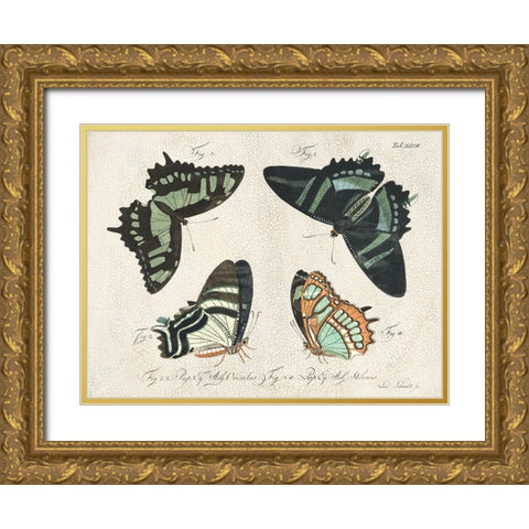 Crackled Butterflies III Gold Ornate Wood Framed Art Print with Double Matting by Vision Studio