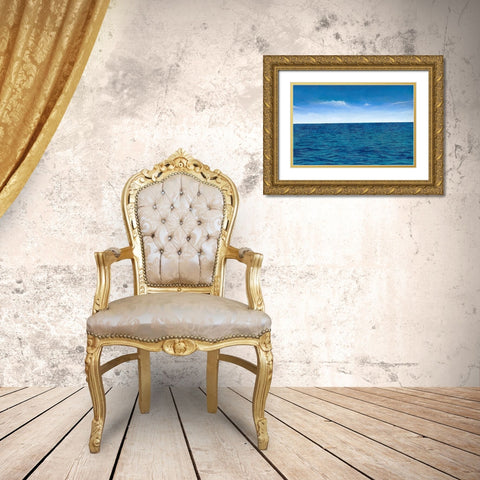 Open Water I Gold Ornate Wood Framed Art Print with Double Matting by Willett, Michael