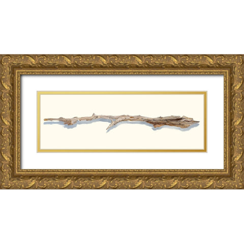 Driftwood Study I Gold Ornate Wood Framed Art Print with Double Matting by Willett, Michael
