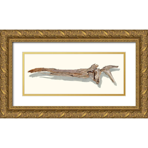 Driftwood Study II Gold Ornate Wood Framed Art Print with Double Matting by Willett, Michael