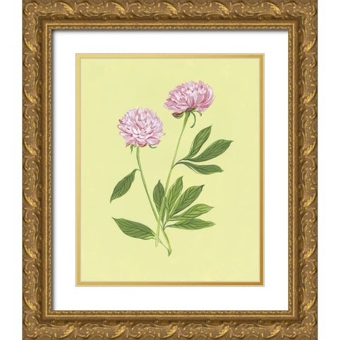Peonies in Yellow II Gold Ornate Wood Framed Art Print with Double Matting by Marr, Laura