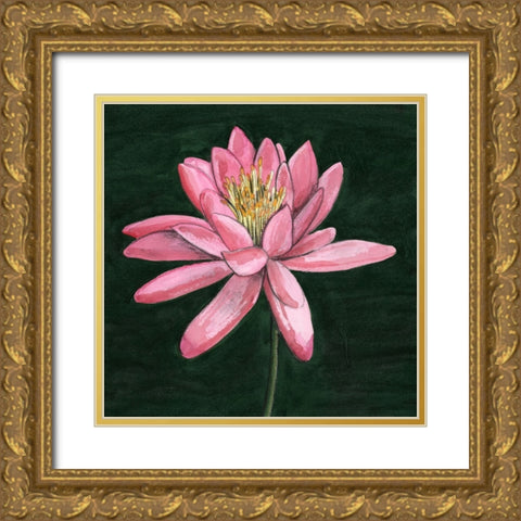 Pink Waterlily I Gold Ornate Wood Framed Art Print with Double Matting by Longley, Alicia