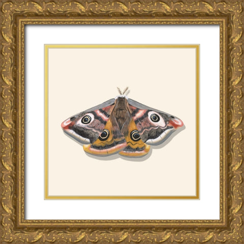 Watercolor Moths I Gold Ornate Wood Framed Art Print with Double Matting by Willett, Michael