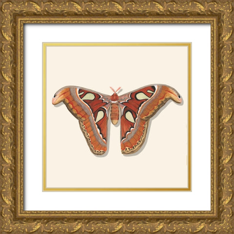 Watercolor Moths II Gold Ornate Wood Framed Art Print with Double Matting by Willett, Michael