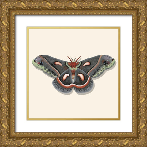 Watercolor Moths III Gold Ornate Wood Framed Art Print with Double Matting by Willett, Michael